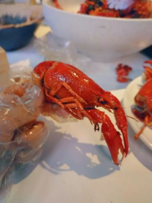 都說不是一頓飯那么簡(jiǎn)單